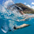 Duo Fins-Snorkeling fins-wetsuit, diver, sharkskin, snorkeling gear, watersports equipment, diving fins, snorkeling mask, ocean reef, Garmin G1